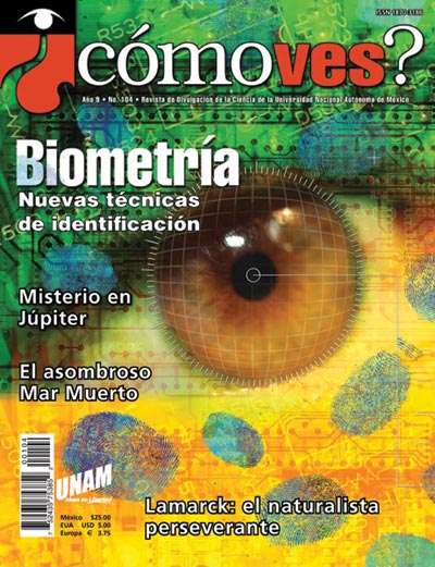 Portada número 104