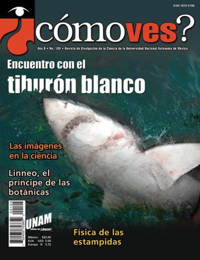 Portada número 105