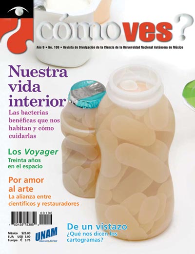 Portada número 106