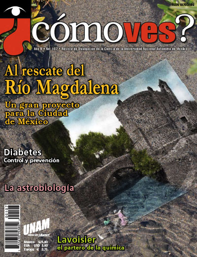 Portada número 107