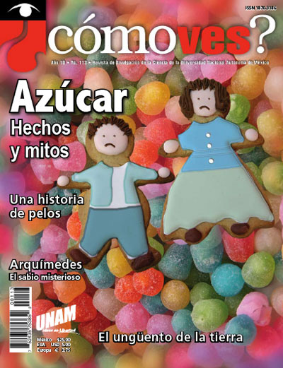 Portada número 113