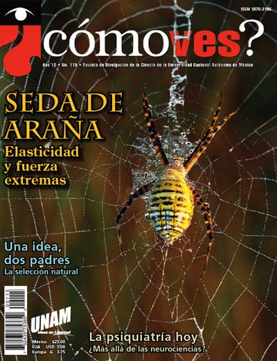 Portada número 115