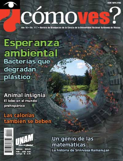Portada número 117