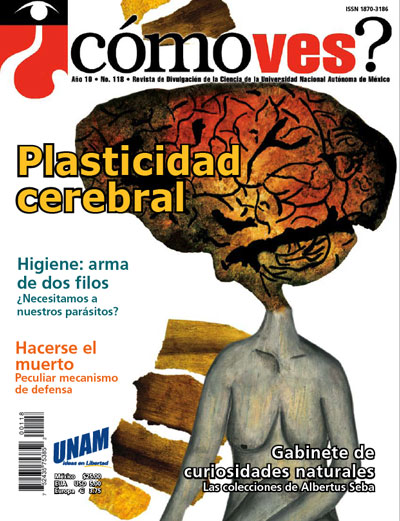 Portada número 118