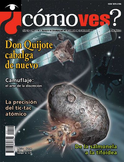 Portada número 119