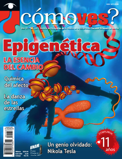Portada número 133