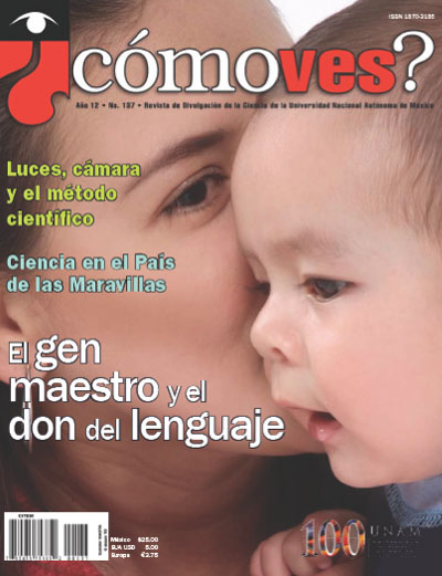 Portada número 137