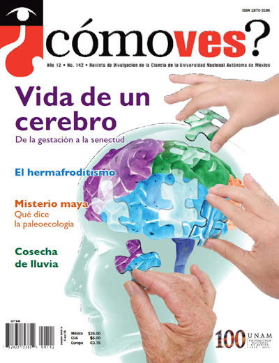 Portada número 142