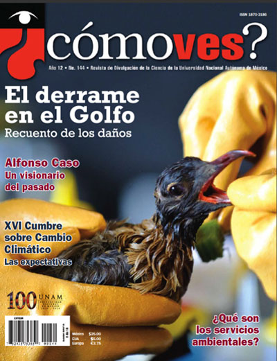 Portada número 144