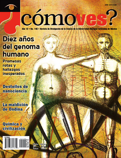Portada número 146