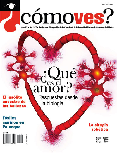 Portada número 147