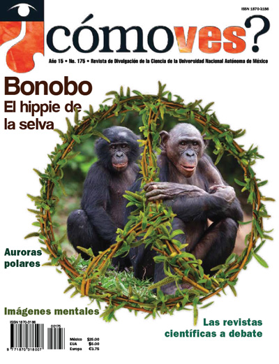 Portada número 175