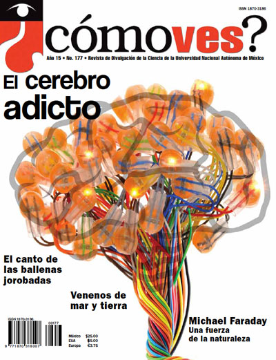 Portada número 177