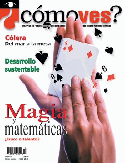 Portada número 19