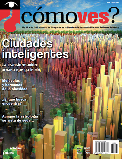 Portada número 202