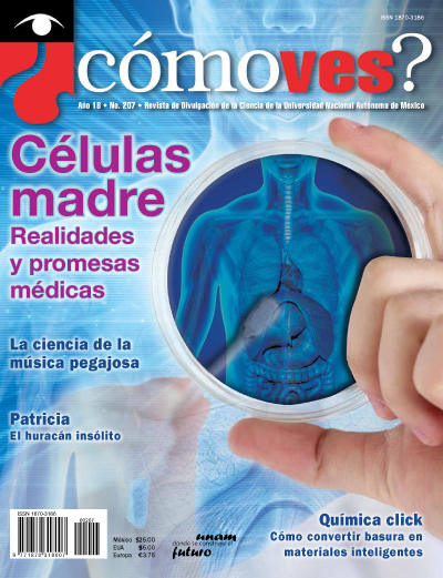 Portada número 207