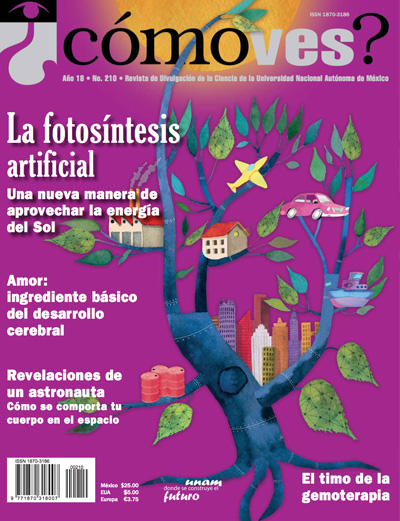 Portada número 210