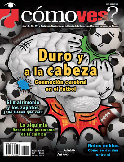 Portada número 211