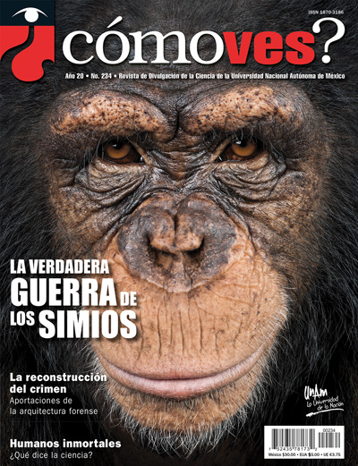 Portada número 234