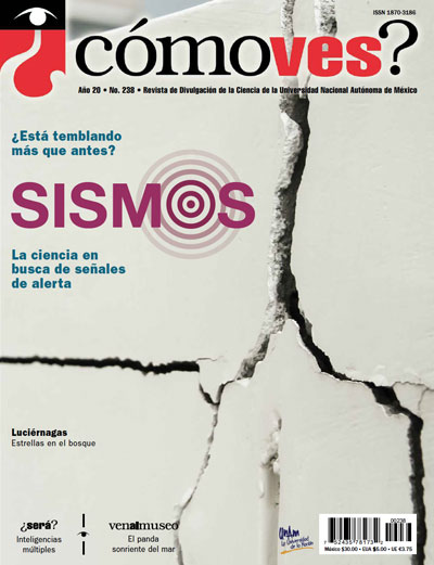 Portada número 238