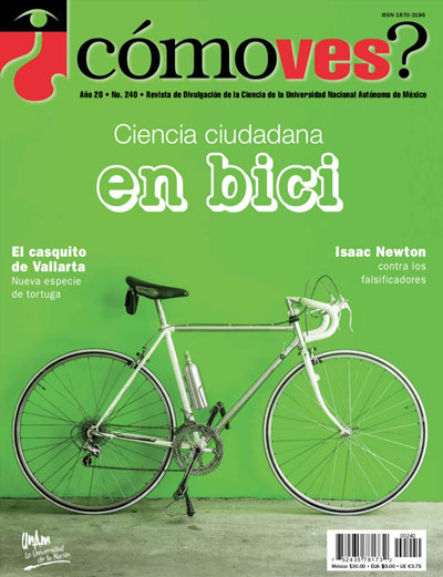 Portada número 240