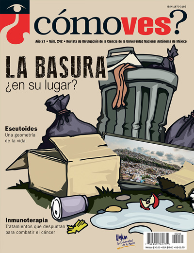 Portada número 242