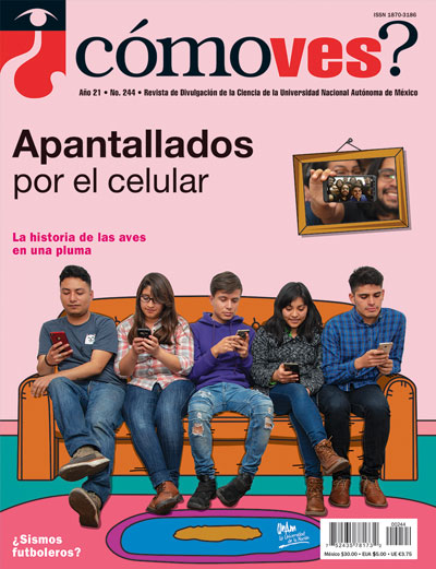 Portada número 244