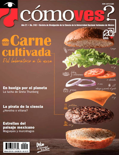 Portada número 249