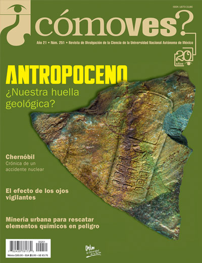 Portada número 251