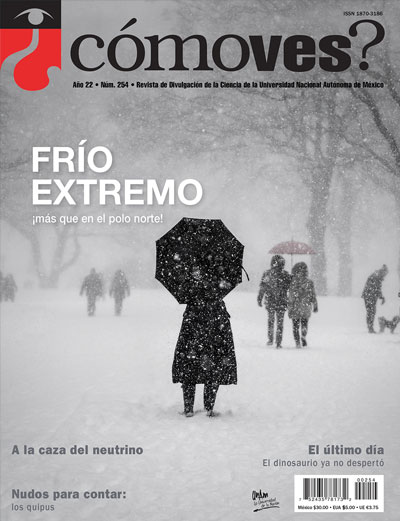 Portada número 254