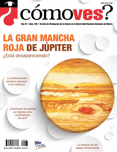 Portada número 255