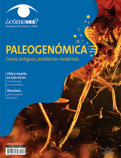 Portada número 286