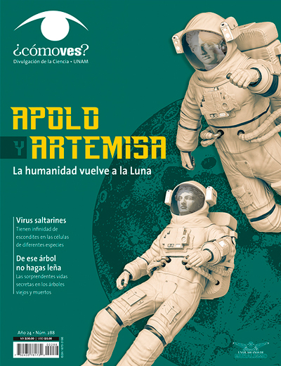 Portada número 288