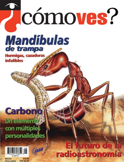 Portada número 28