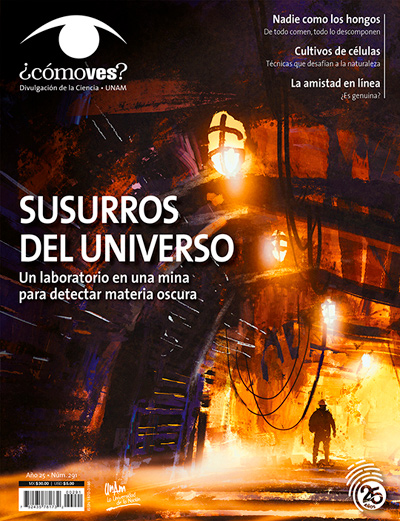 Portada número 291