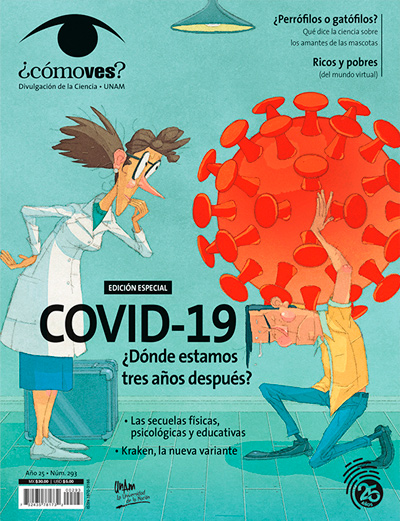 Portada número 293