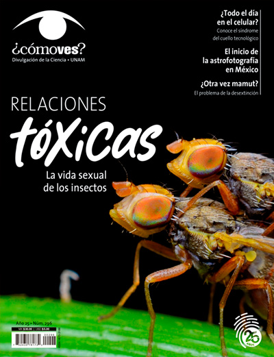 Portada número 296