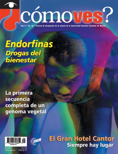 Portada número 29