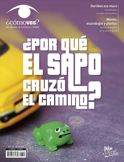 Portada número 303