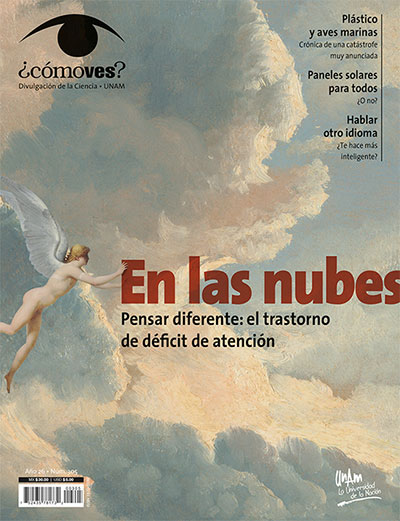 Portada número 305