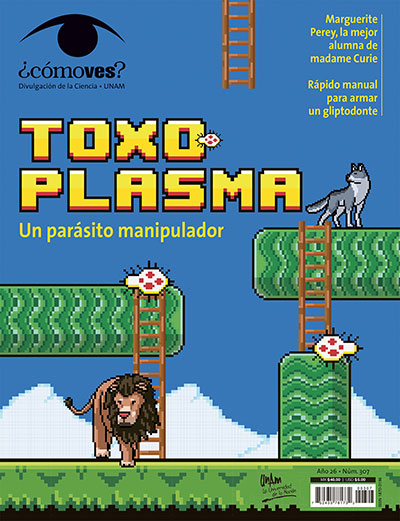 Portada número 307