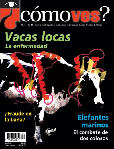 Portada número 30