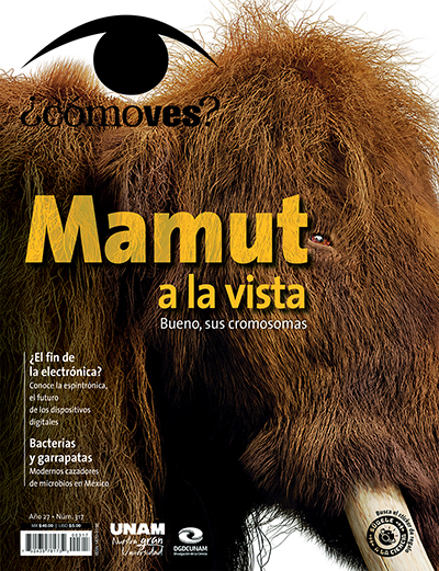 Portada número 317