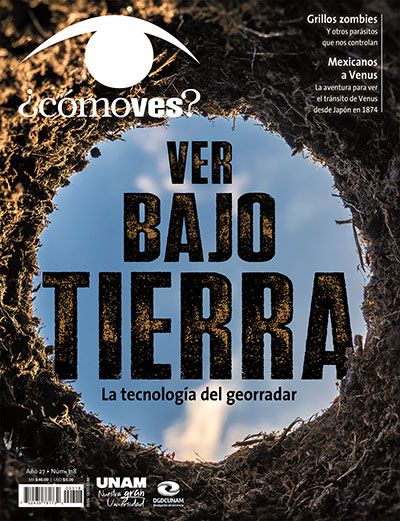 Portada número 318