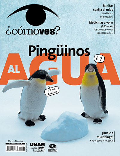 Portada número 319