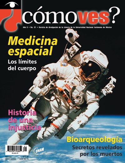 Portada número 31