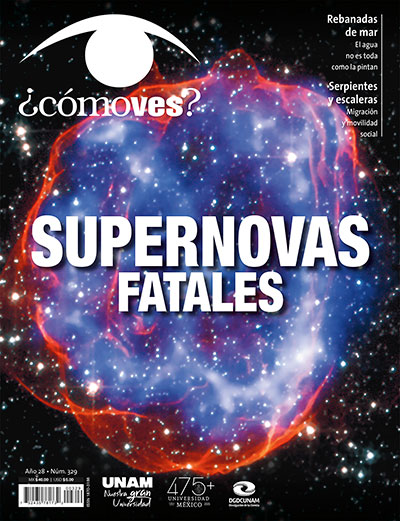 Portada número 329