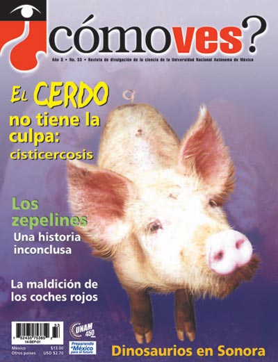 Portada número 33