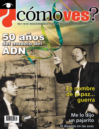 Portada número 53