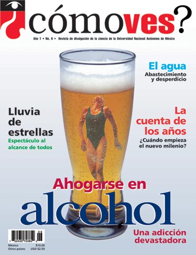 Portada número 6